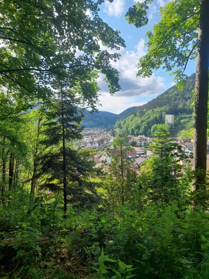 Ferienwohnung Am Enzufer Mit Balkon In Bad Wildbad Im Schwarzwald Екстериор снимка